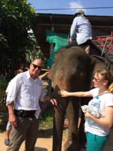 elephant ride in thailand